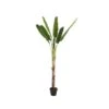 Kunstplant Bananenboom 200 Cm Hoog