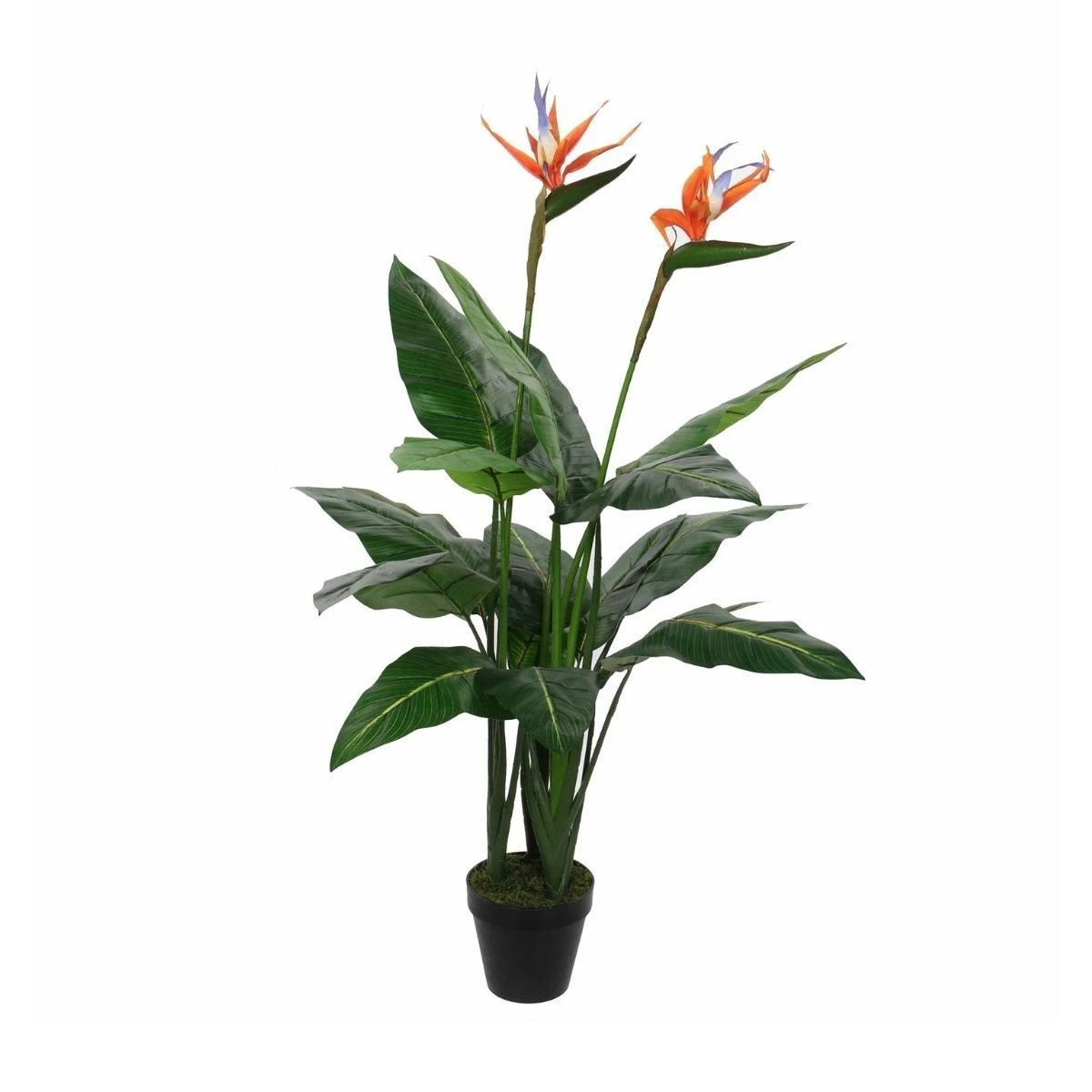 Kunstplant Strelitzia In Pot 110 Cm 1 Kunstplant Strelitzia In Pot 110 Cm
