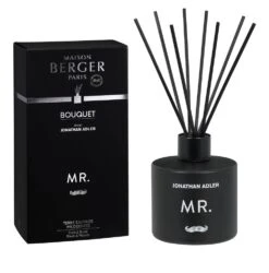 Parfumverspreider Met Sticks Mr. / Terre Sauvage - 180ml