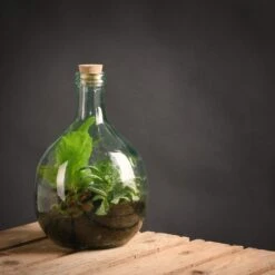 ESSCHERT DESIGN Terrarium Fles 5 Liter Set -Interieurdecoratie Winkel terrarium fles 5 liter set 1601905082 l