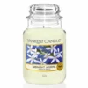 Yankee Candle Midnight Jasmine Large Jar